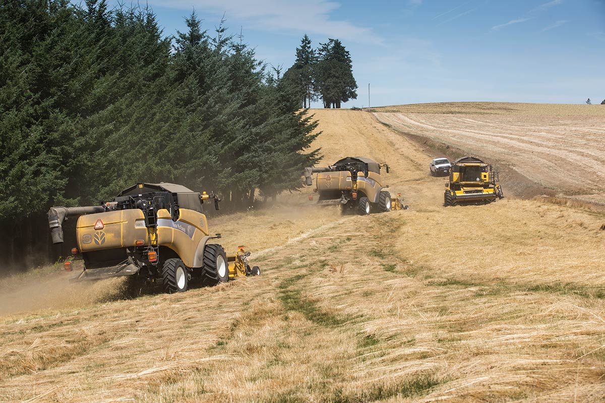 three farming tractors baling hay 